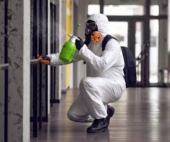 Best Mold Remediation for Healthcare Facilities  in USA